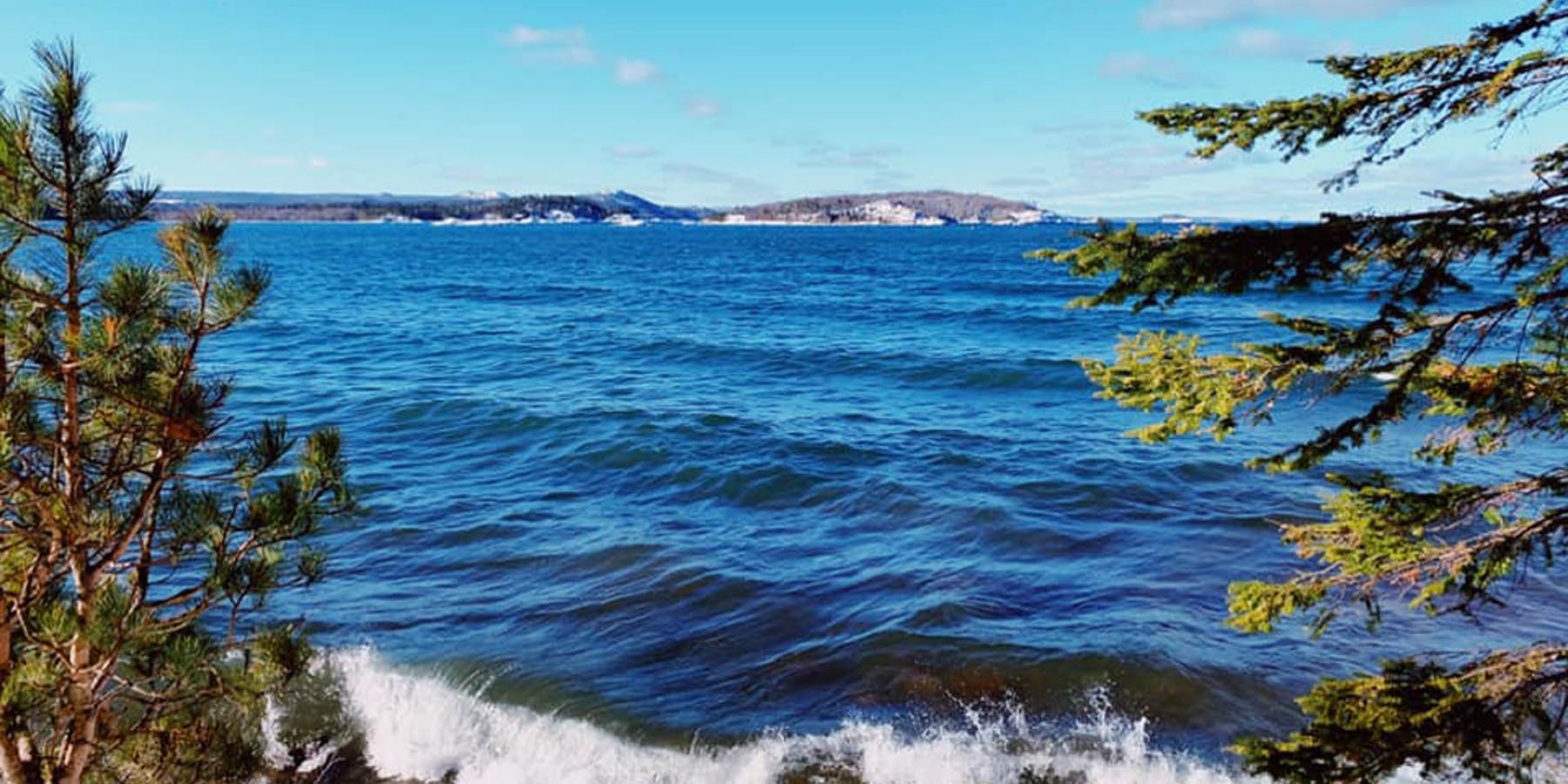 Your Area Specialist!