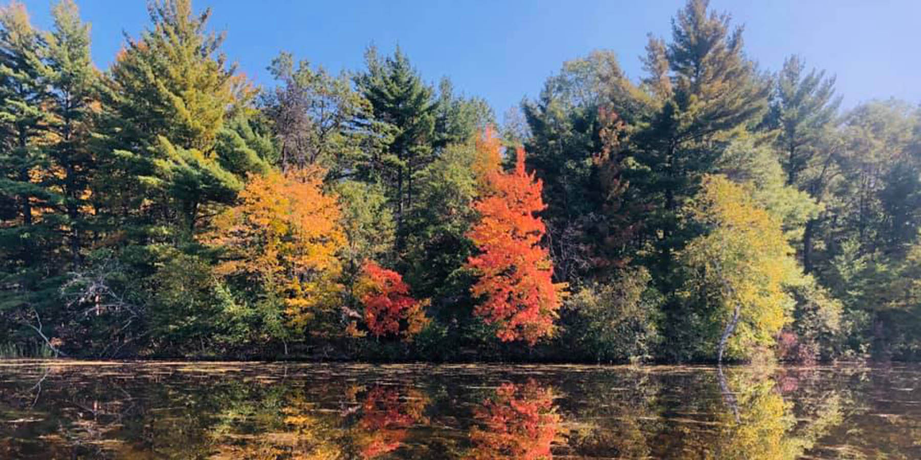 A Cut Above the Rest!